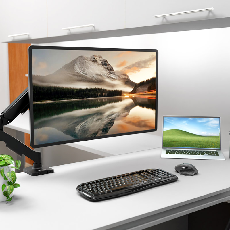 Compatibilidad con monitores