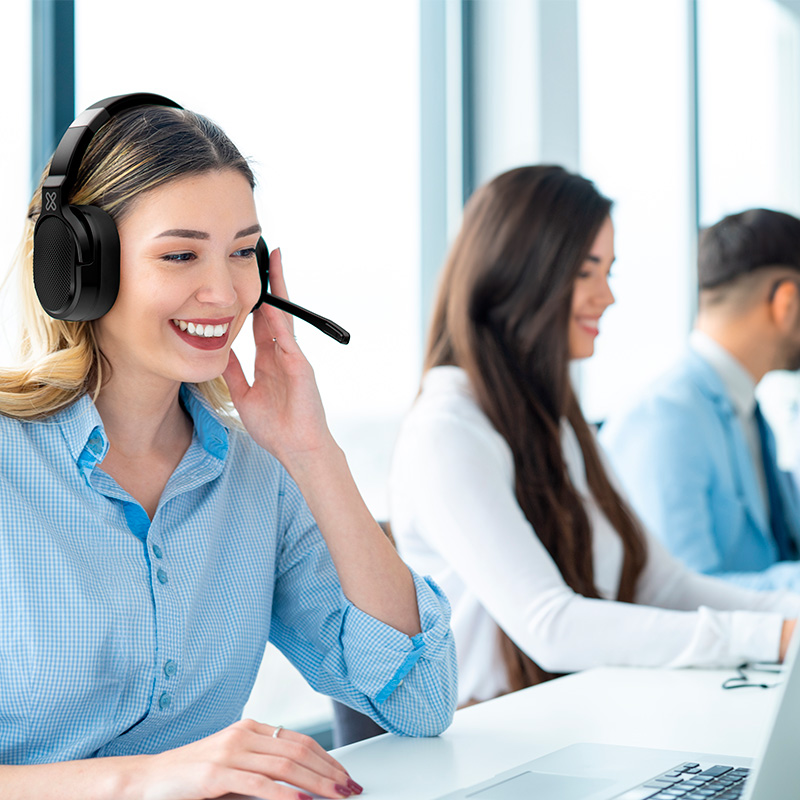 Descripción de la imagen