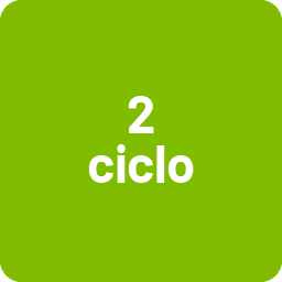 Icono